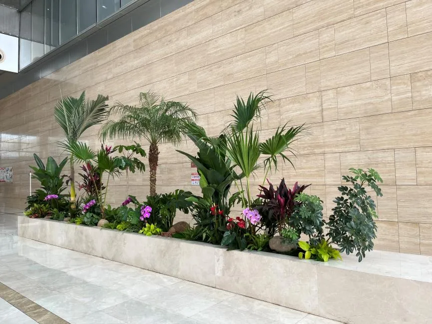 慈溪花木租摆专业